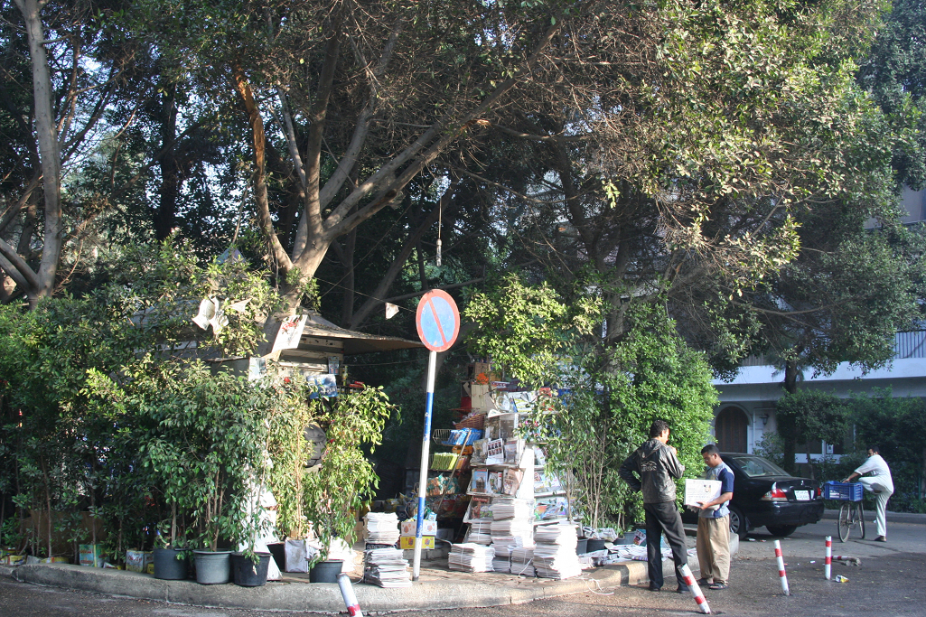 maadi market