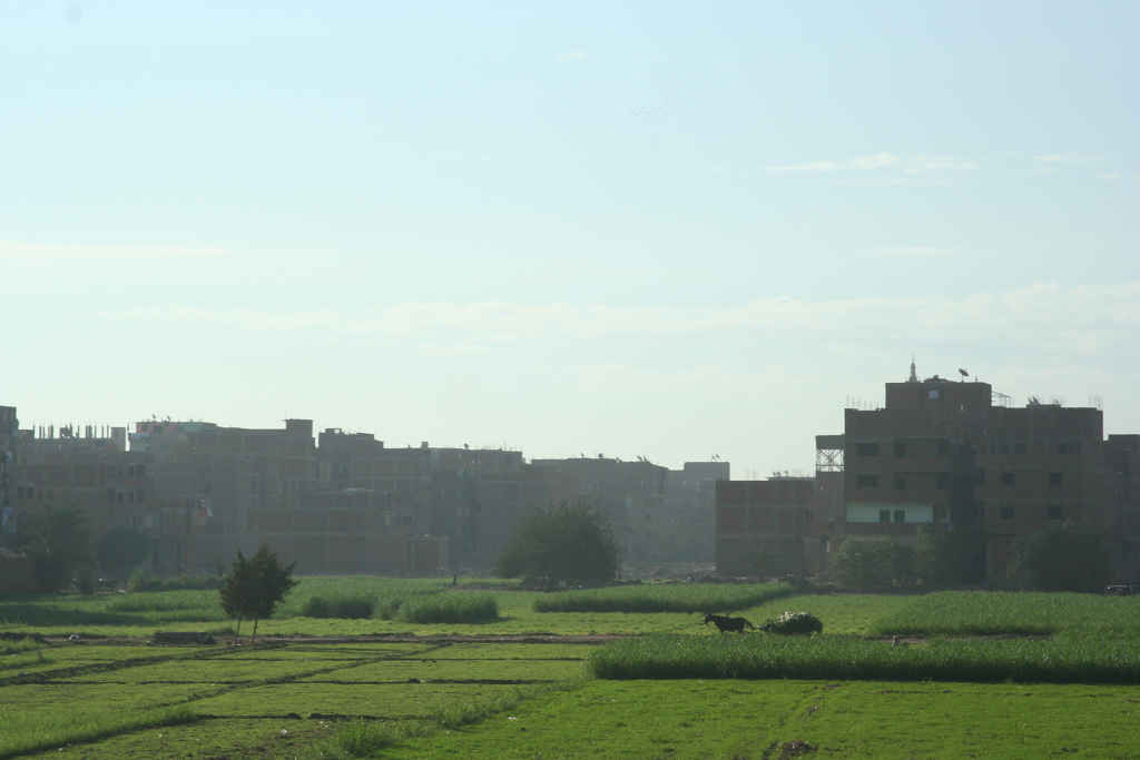 nile farmland