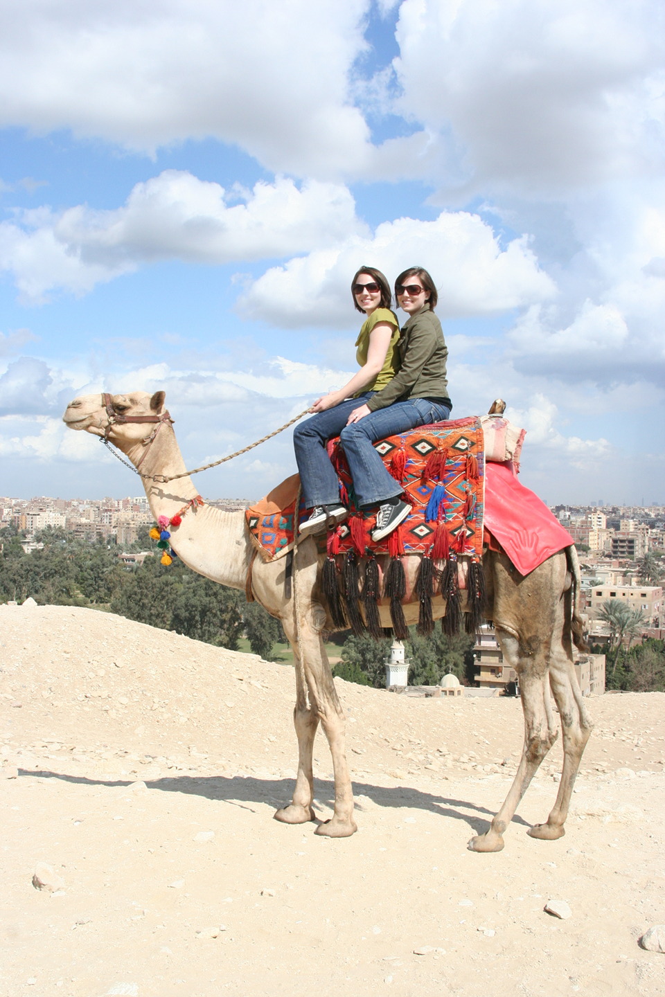 twins on a camel - cairo
