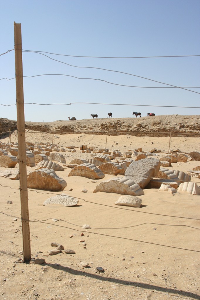 column graveyard_small