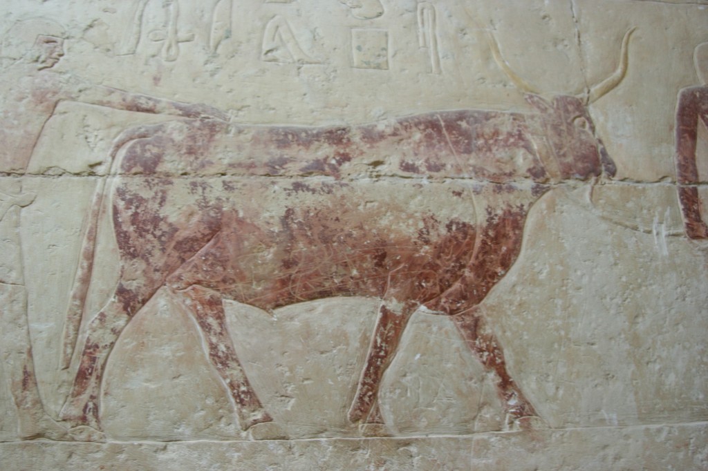 tomb of unas ankh - bull_small